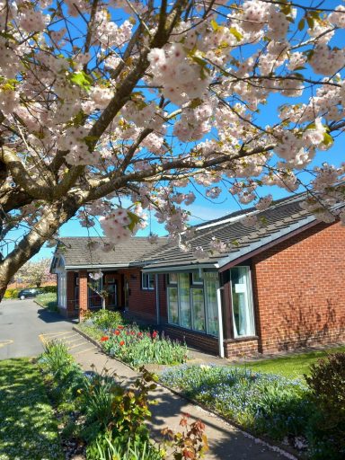 Springtime scene featuring a house surrounded by blooming cherry blossoms and colourful flowers.